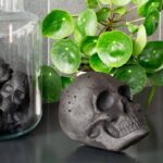 Totenkopf Kohle XL Kopf – Bild 3